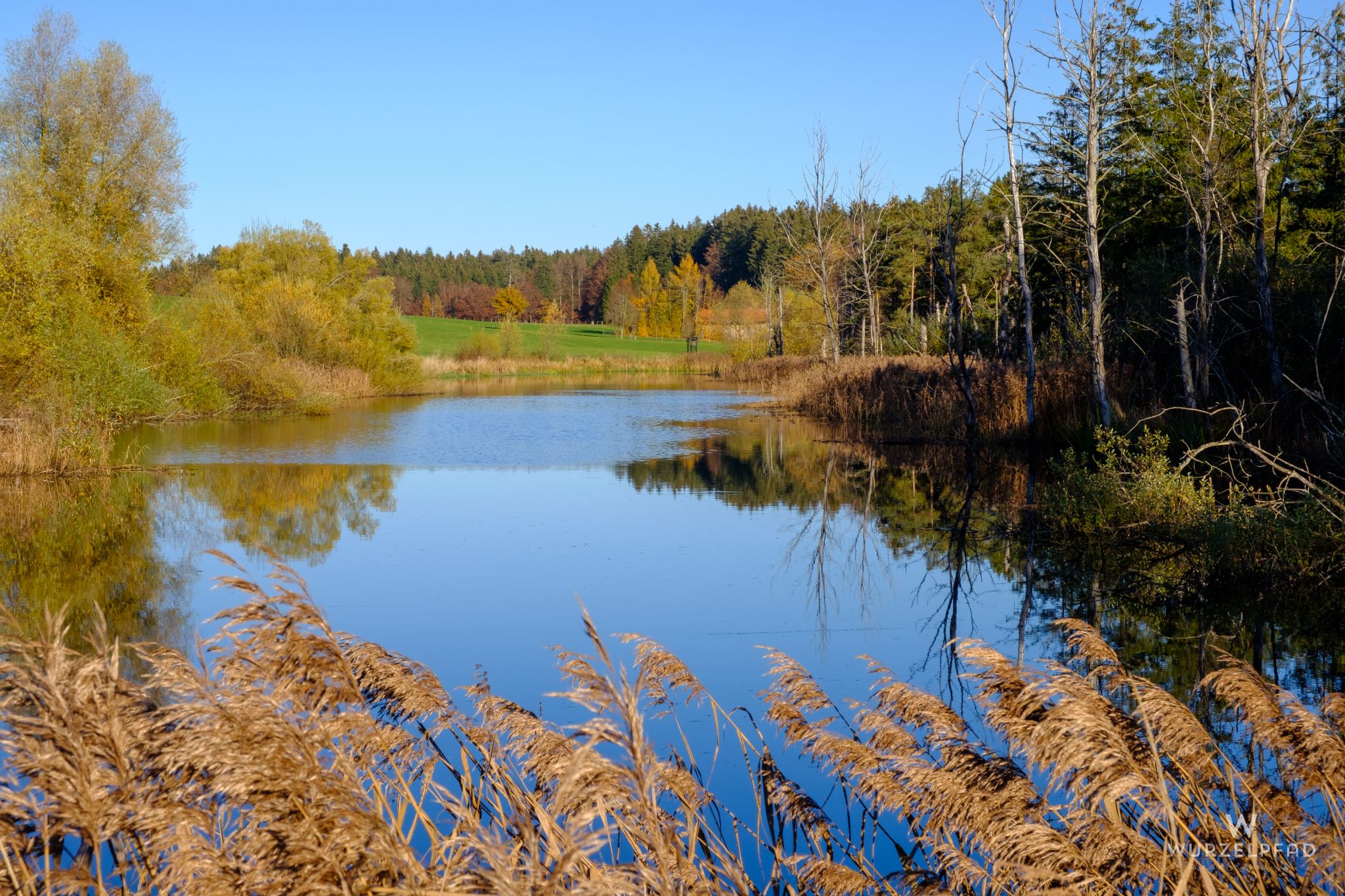 Moorweiher bei Humbach